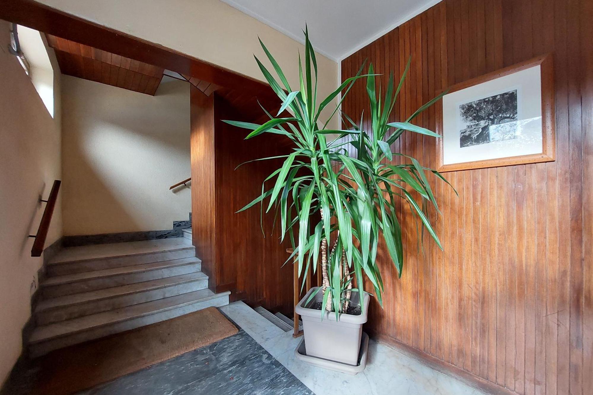 San Pietros Flat Roma Exterior foto
